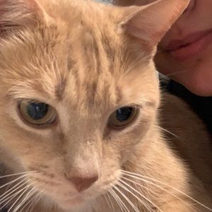 Meet your Posher, Moamina